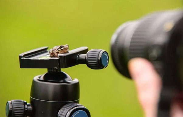 بهترین لنز برای عکاسی ماکرو - بهترین لنز برای عکاسی|بهترین لنزها برای سبک‌های مختلف عکاسی|لنز های مناسب عکاسی از محصول|مقایسه بهترین لنزهای دوربین عکاسی|بهترین برندهای لنز دوربین